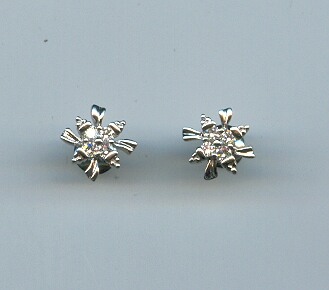 PLATINUM EARTOP