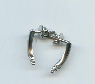 PLATINUM EARTOP