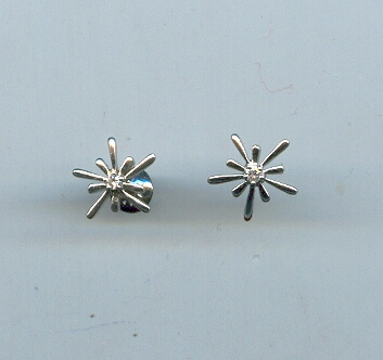 PLATINUM EARTOP