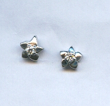 PLATINUM EARTOP