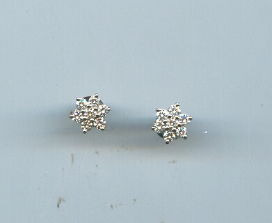 PLATINUM EARTOP