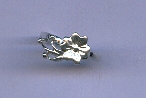 PLATINUM RING