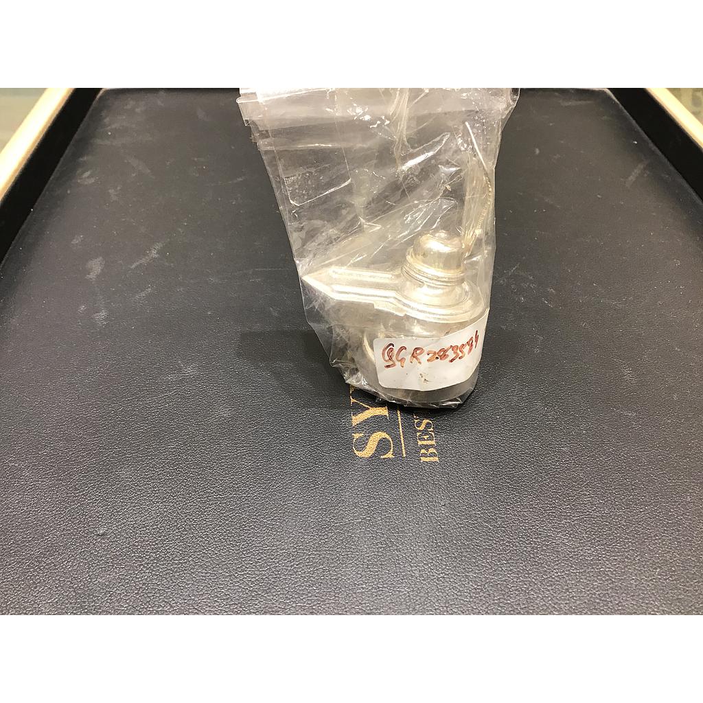 SILVER MURTI