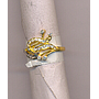 DIAMOND RING FANCY