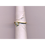 DIAMOND RING LADIES