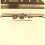 PLATINUM EARTOP