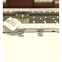 PLATINUM EARTOP
