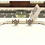 PLATINUM EARTOP