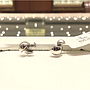PLATINUM EARTOP