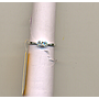 DIAMOND RING LADIES FANCY