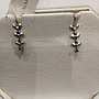 PLATINUM EARTOP