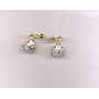 DIAMOND EARHANGING