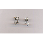 PLATINUM EARTOP