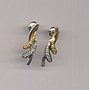 PLATINUM EARTOP